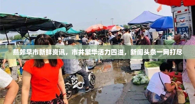 燕郊早市新鲜资讯，市井繁华活力四溢，新闻头条一网打尽