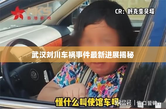 武汉刘川车祸事件最新进展揭秘