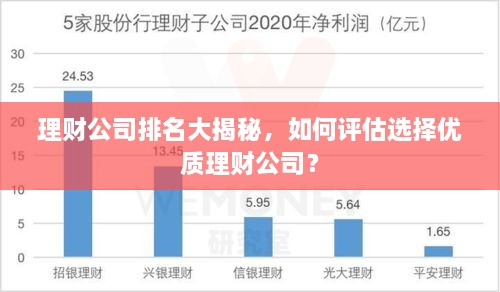 理财公司排名大揭秘，如何评估选择优质理财公司？