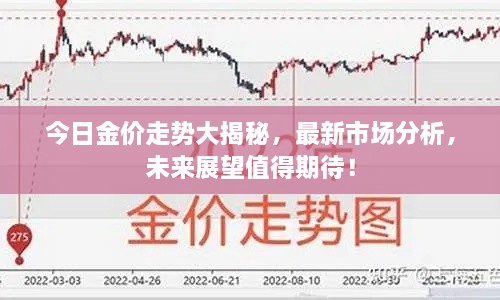 今日金价走势大揭秘，最新市场分析，未来展望值得期待！
