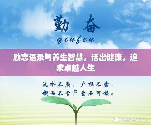 励志语录与养生智慧，活出健康，追求卓越人生
