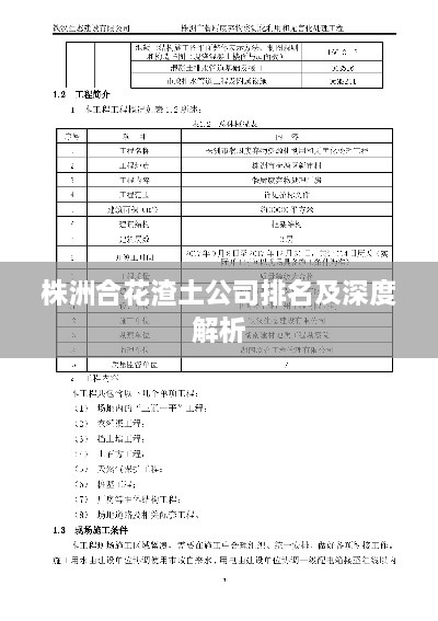 株洲合花渣土公司排名及深度解析