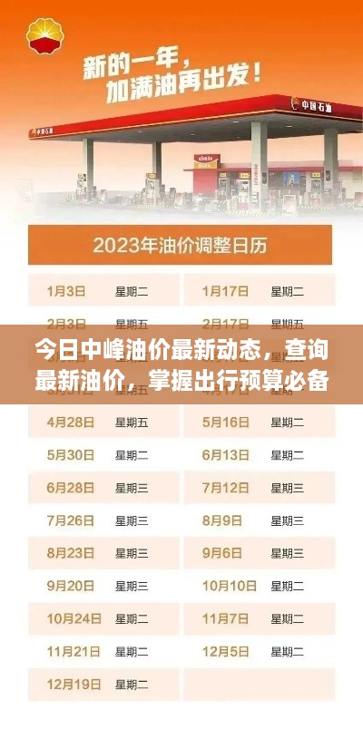 今日中峰油价最新动态，查询最新油价，掌握出行预算必备资讯