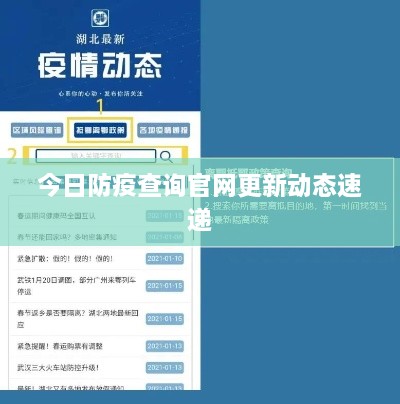 今日防疫查询官网更新动态速递
