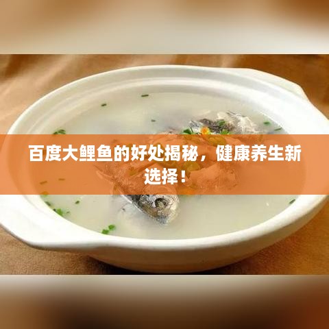 百度大鲤鱼的好处揭秘，健康养生新选择！