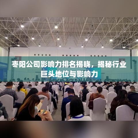 枣阳公司影响力排名揭晓，揭秘行业巨头地位与影响力