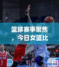 篮球赛事聚焦，今日女篮比赛精彩推荐分析