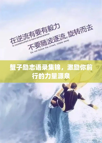 蟹子励志语录集锦，激励你前行的力量源泉