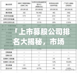 「上市募股公司排名大揭秘，市场领导者与潜力股一览」