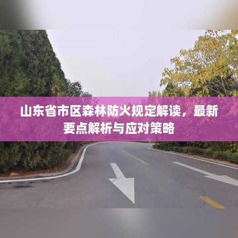 山东省市区森林防火规定解读，最新要点解析与应对策略
