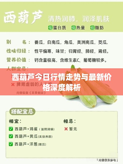 西葫芦今日行情走势与最新价格深度解析