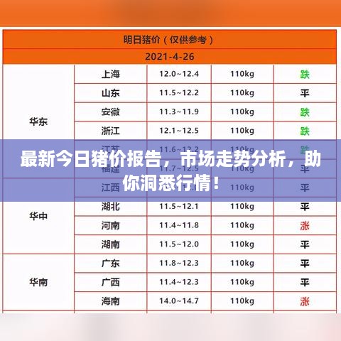 最新今日猪价报告，市场走势分析，助你洞悉行情！
