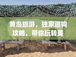 黄岛旅游，独家遛狗攻略，带你玩转美景胜地！