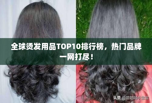 全球烫发用品TOP10排行榜，热门品牌一网打尽！