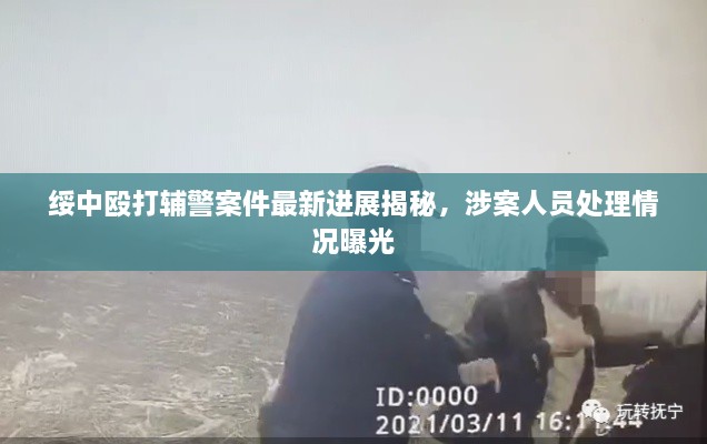 绥中殴打辅警案件最新进展揭秘，涉案人员处理情况曝光