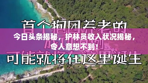 今日头条揭秘，护林员收入状况揭秘，令人意想不到！