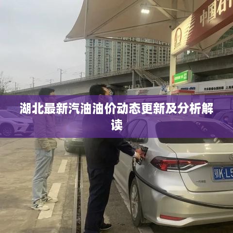 湖北最新汽油油价动态更新及分析解读