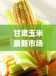 甘肃玉米最新市场价概览
