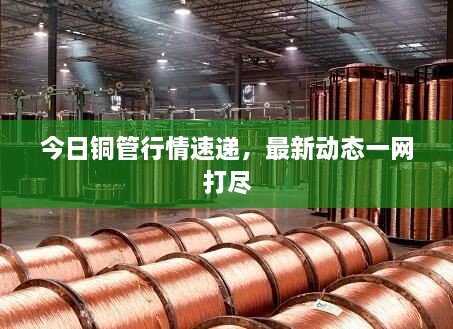 今日铜管行情速递，最新动态一网打尽