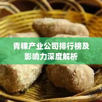 青稞产业公司排行榜及影响力深度解析