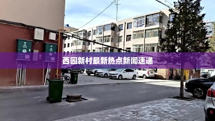 西园新村最新热点新闻速递