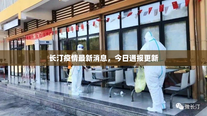 长汀疫情最新消息，今日通报更新