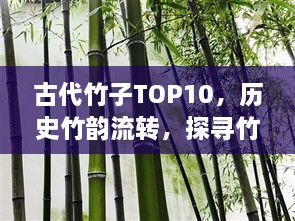 古代竹子TOP10，历史竹韵流转，探寻竹子之美