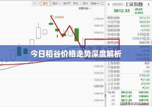 2025年5月 第16页