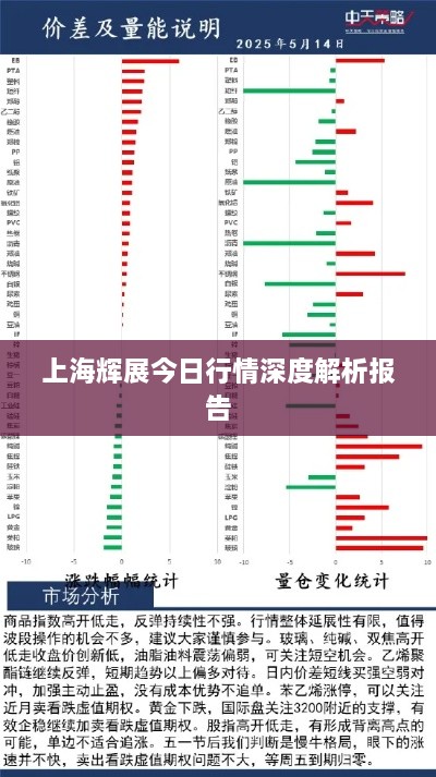 上海辉展今日行情深度解析报告