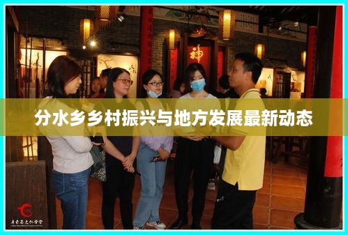 分水乡乡村振兴与地方发展最新动态