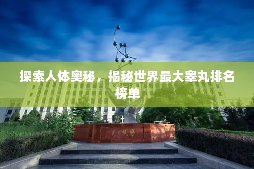 探索人体奥秘，揭秘世界最大睾丸排名榜单