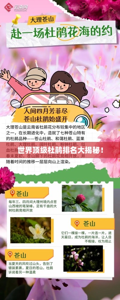 世界顶级杜鹃排名大揭秘！