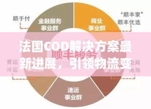 法国COD解决方案最新进展，引领物流变革，提升用户体验