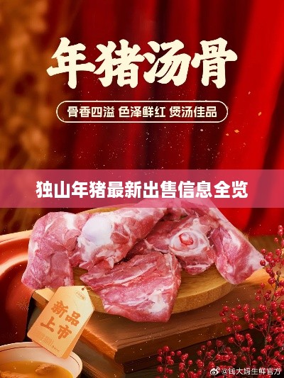 独山年猪最新出售信息全览
