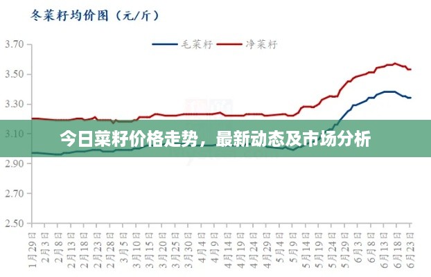 今日菜籽价格走势，最新动态及市场分析
