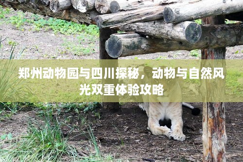 郑州动物园与四川探秘，动物与自然风光双重体验攻略
