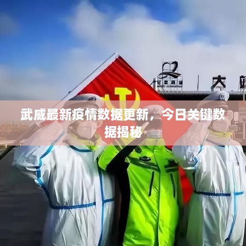 武威最新疫情数据更新，今日关键数据揭秘