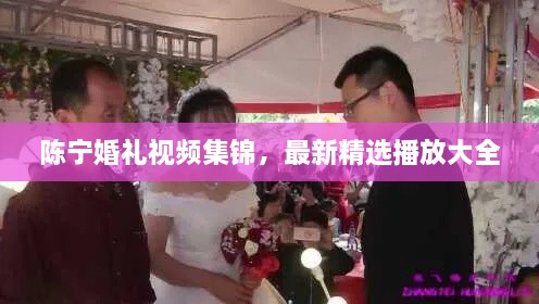 陈宁婚礼视频集锦，最新精选播放大全