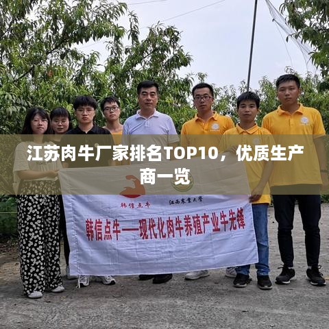 江苏肉牛厂家排名TOP10，优质生产商一览