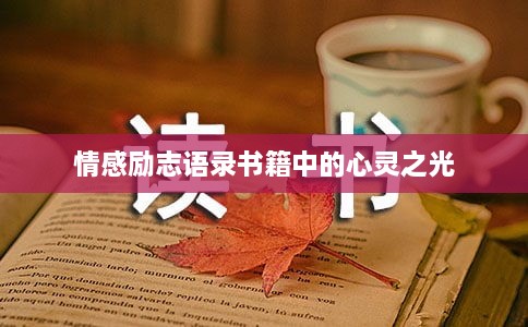 情感励志语录书籍中的心灵之光