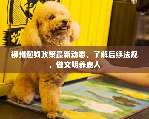 柳州遛狗政策最新动态，了解后续法规，做文明养宠人
