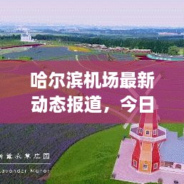 哈尔滨机场最新动态报道，今日现场情况速递
