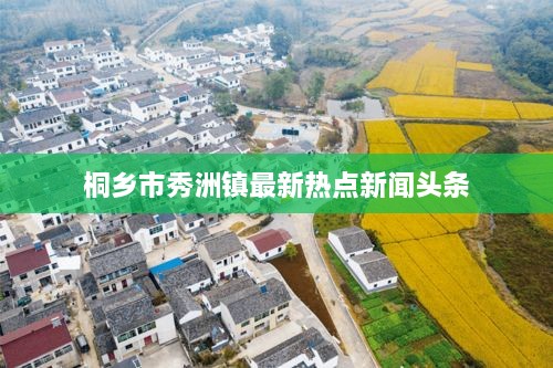 桐乡市秀洲镇最新热点新闻头条
