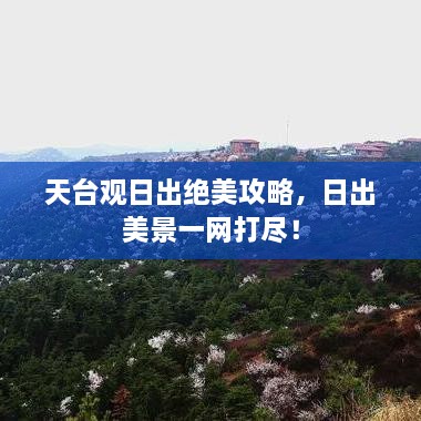 天台观日出绝美攻略，日出美景一网打尽！