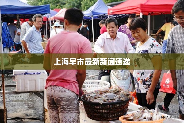 上海早市最新新闻速递