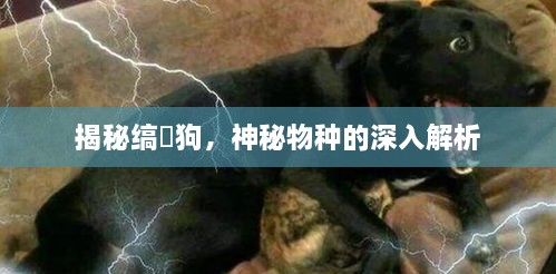 2025年6月17日