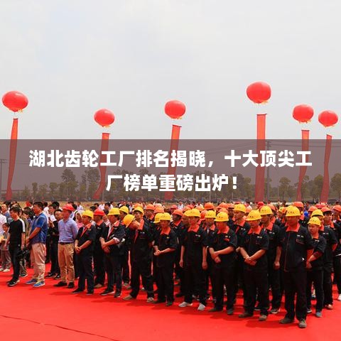 湖北齿轮工厂排名揭晓，十大顶尖工厂榜单重磅出炉！