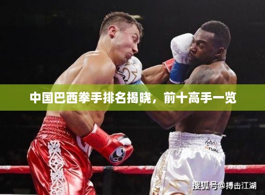中国巴西拳手排名揭晓，前十高手一览