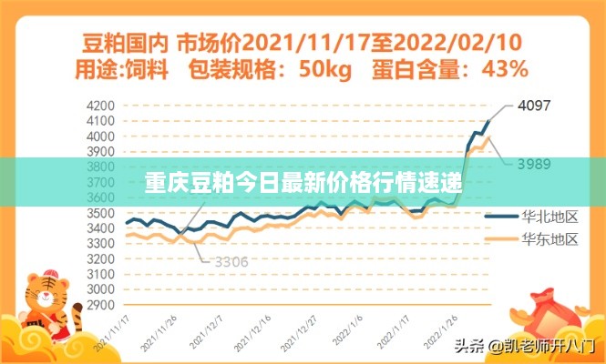 重庆豆粕今日最新价格行情速递