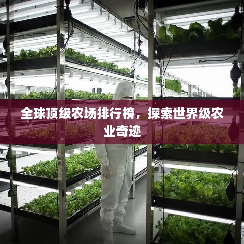全球顶级农场排行榜，探索世界级农业奇迹